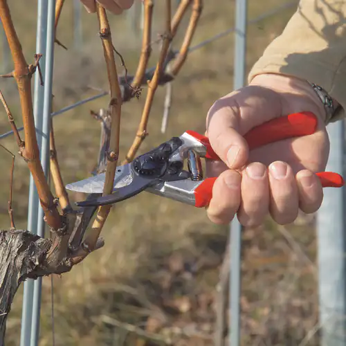 Kit Promocional Tesoura de Poda Felco 8 + Lâmina F-TECH